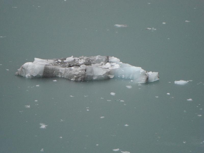 CIMG0693.JPG - Iceberg with seals on it.