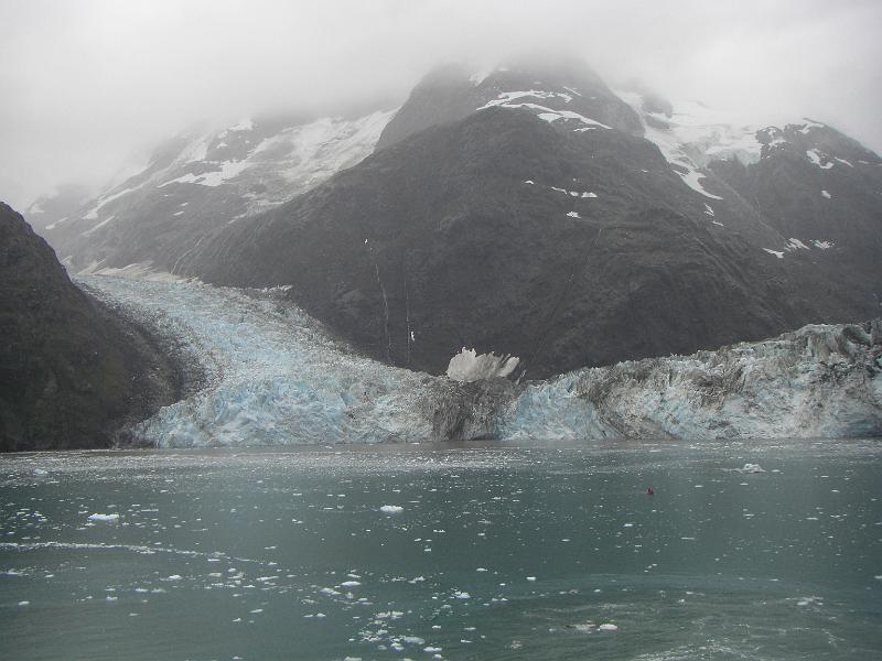 CIMG0707.JPG - Johns Hopkins Glacier