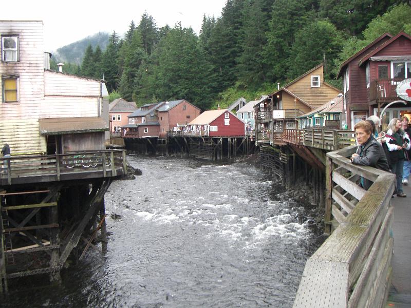 CIMG0770.JPG - There are salmon spawning in the creek below